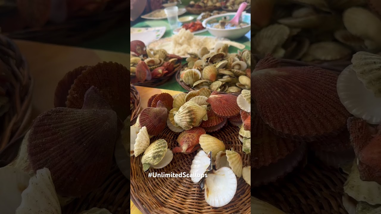 Boodle Fight with unlimited scallops at Isla Gigantes 