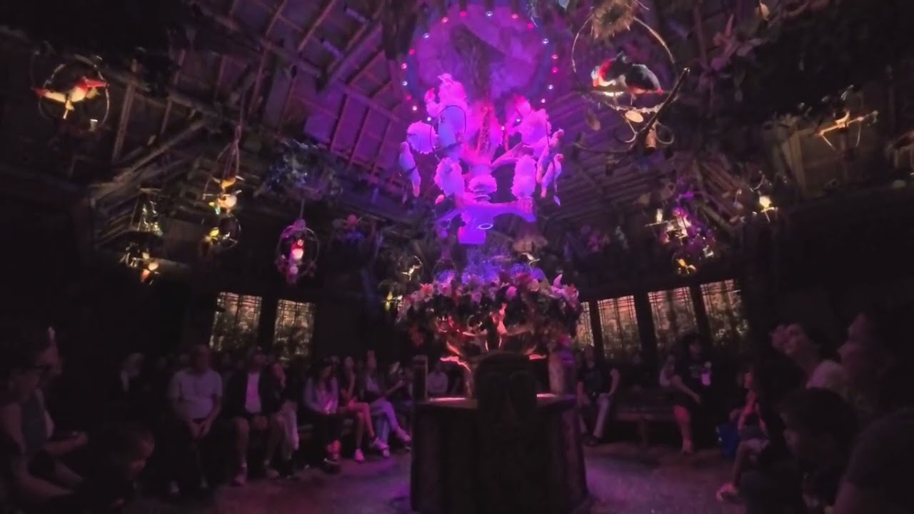 Disneyland's Enchanted Tiki Room 12.10.25