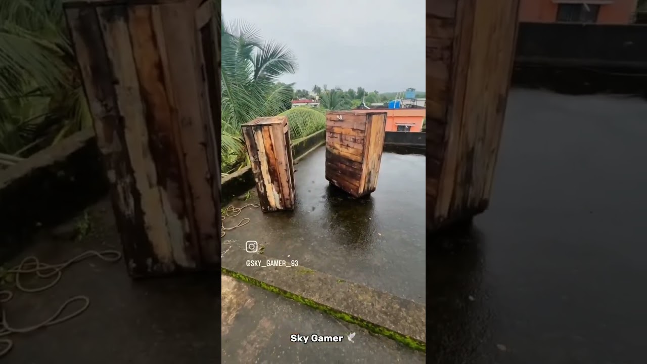 Come Back Parava Loaft🕊️🔥💥 #pigeon #populerpigeon #bird #mrbeast #pigeonlaver #birdspecies