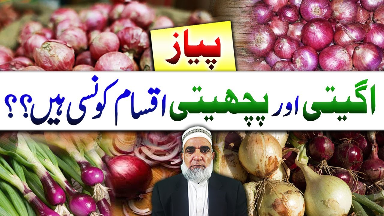 Best Varieties of Onion suited for early and Late sowing || Crop Reformer
