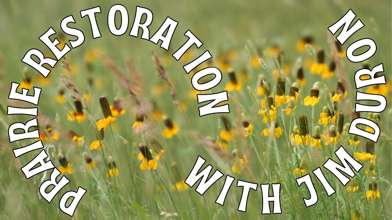 Prairie Restoration