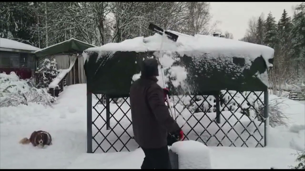 Talvituenta ja lumenpudotus