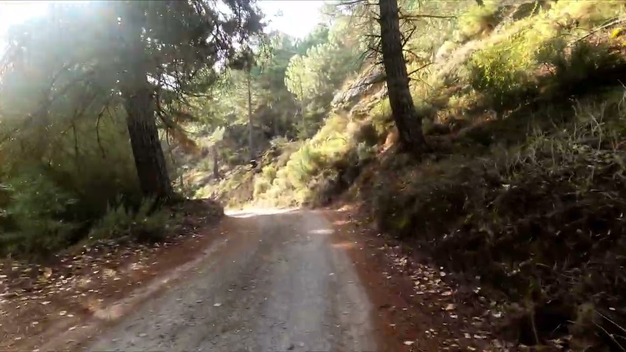 OTOÑO  en bici