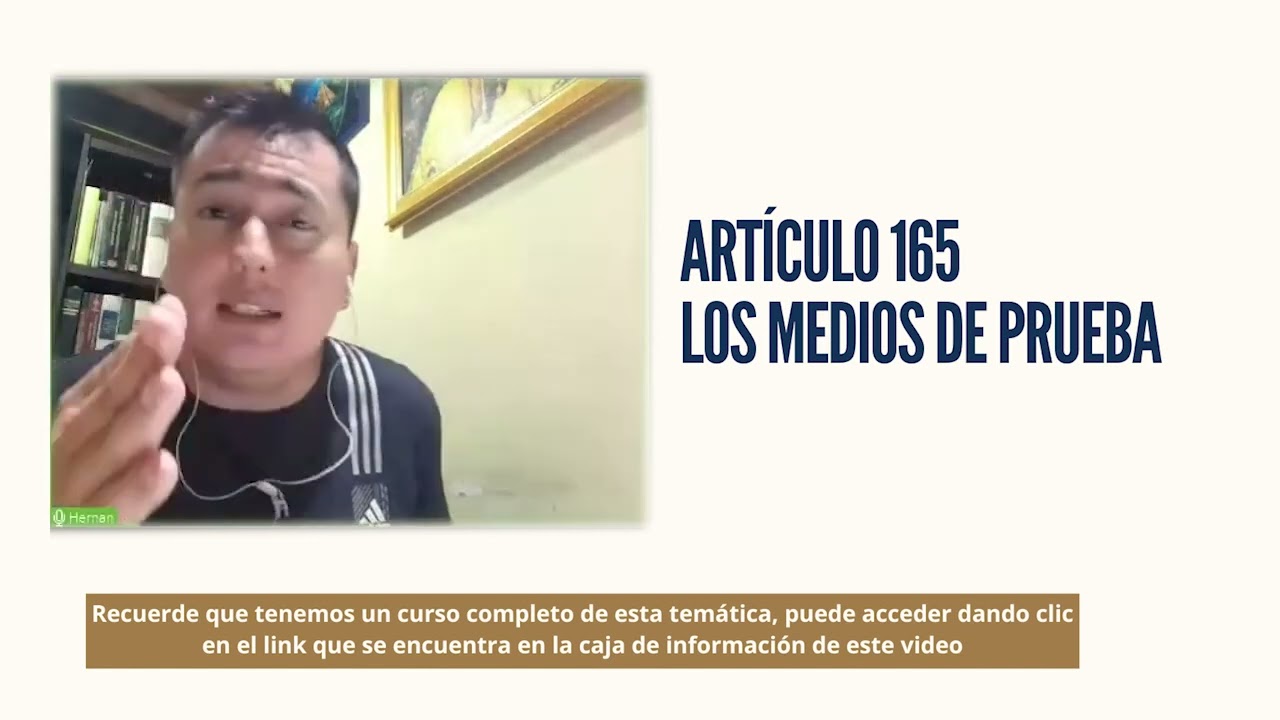 Artículo 165 los medios de prueba