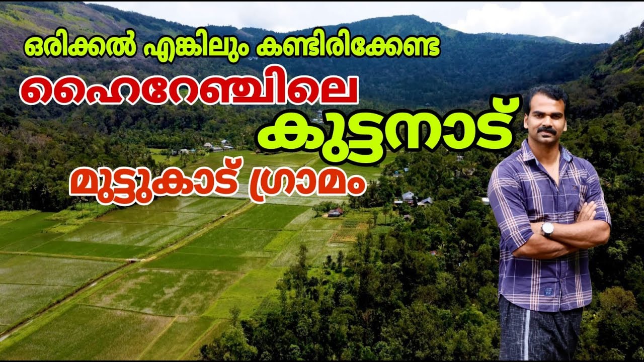 Exploring Kuttanadu of highrange muttukad village idukki |ഇടുക്കിയുടെ കുട്ടനാട് കാണാം