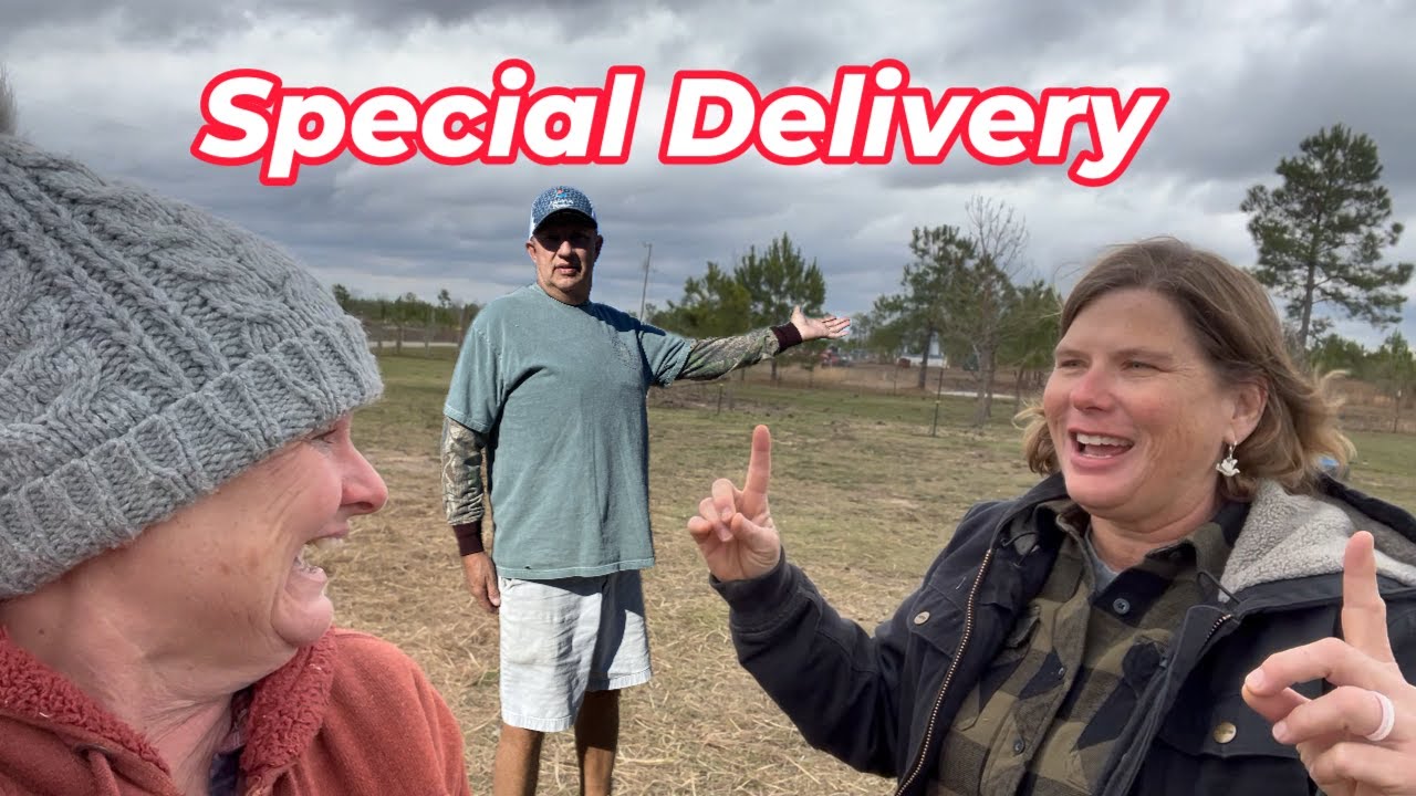 Special Delivery || Two Special Gifts, Perfect Timing @mrscoghillfarm