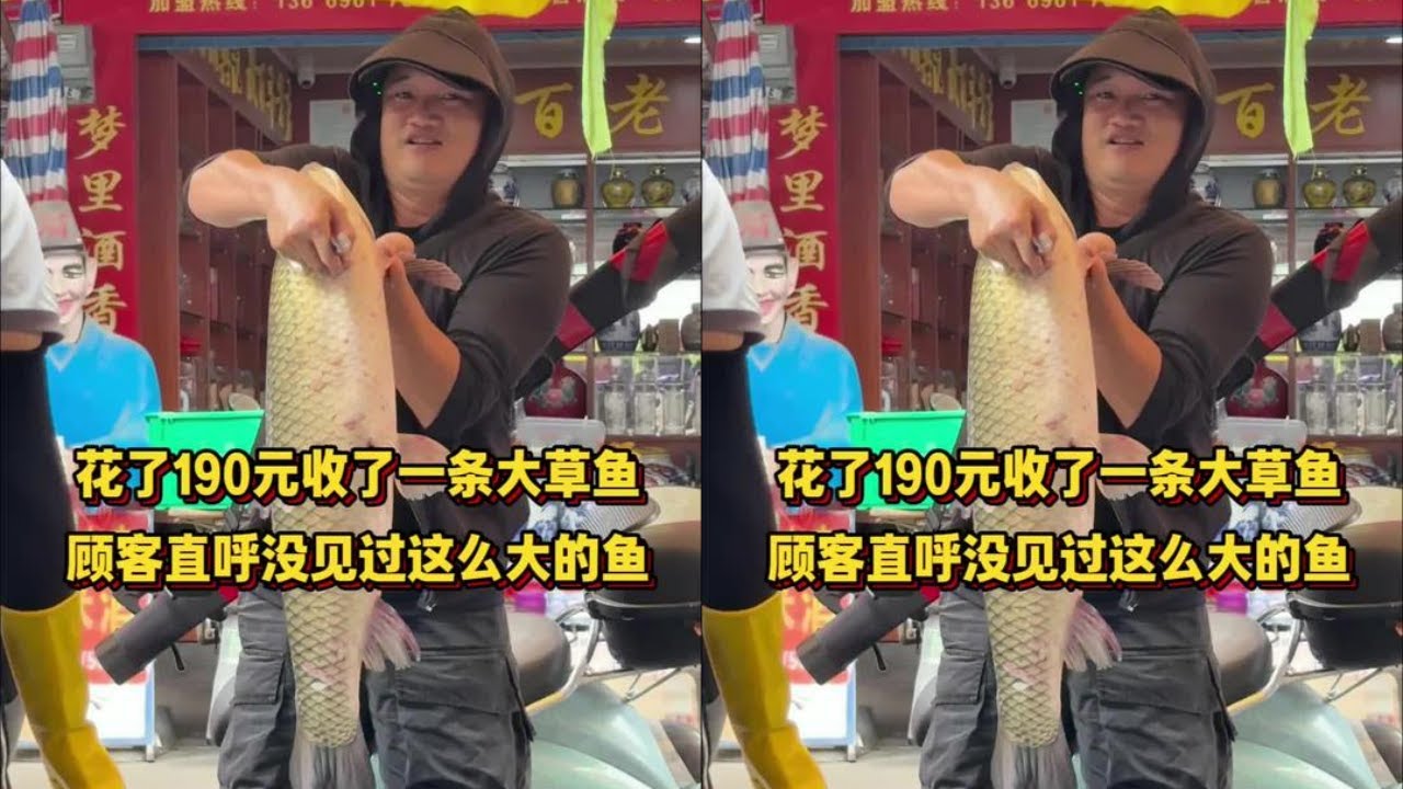 花190元收了一条大草鱼，顾客直呼没见过这么大的鱼！