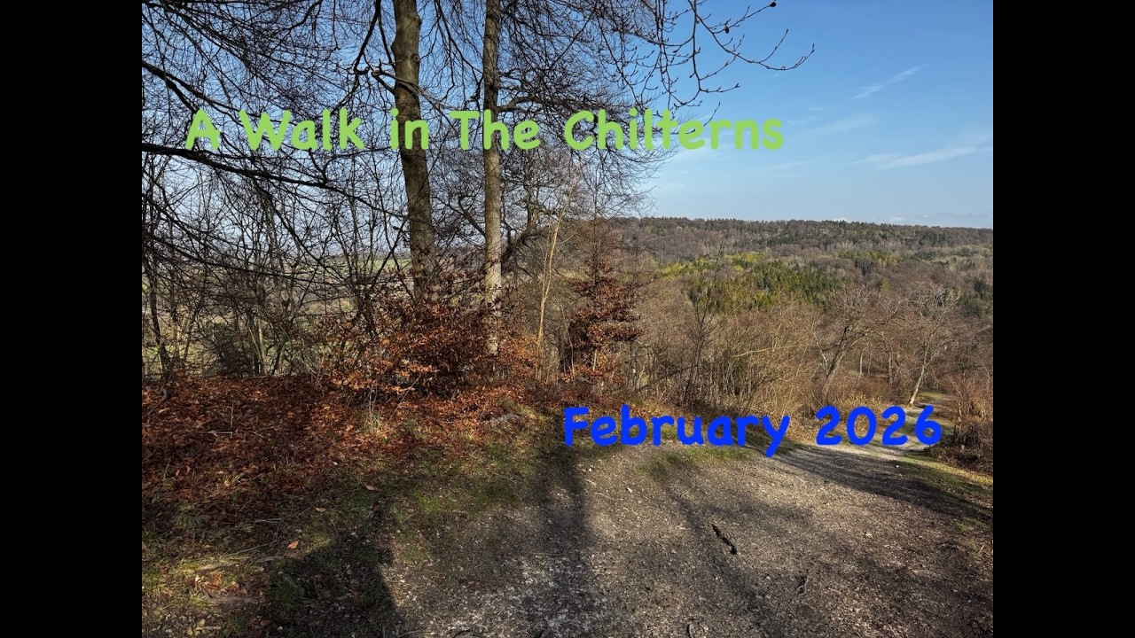 A Walk in the Chilterns