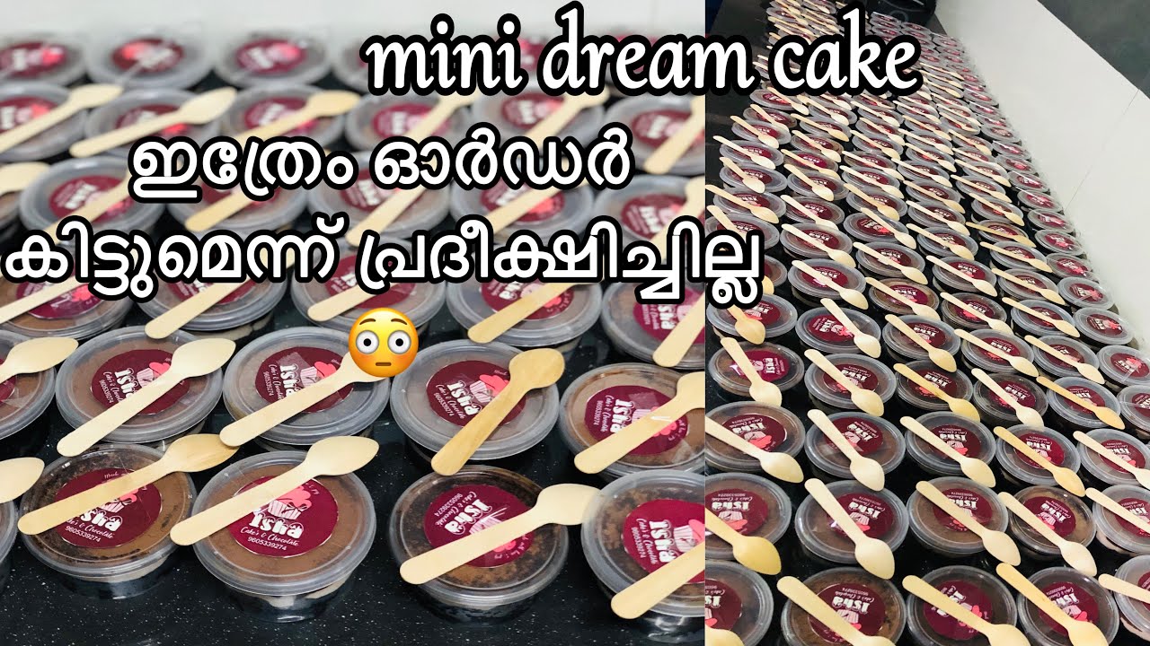മിനി ഡ്രീം കേക്ക് ഓഫർ ഇട്ടപ്പോൾ ഇത്രയ്ക്ക് പ്രദീക്ഷിച്ചില്ല 🙀| mini dream cake #dreamcake
