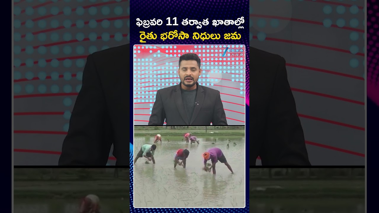 Rythu Bharosa Updates | CM Revanth Reddy | ఫిబ్రవరి 11 తర్వాత ఖాతాల్లో రైతు భరోసా నిధులు జమ | ZEE