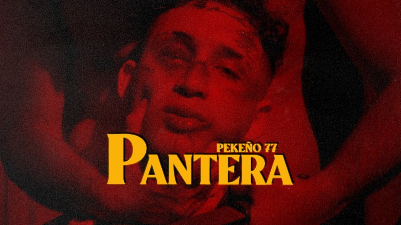 Pantera - Pekeño 77 | SIN PRONTUARIO