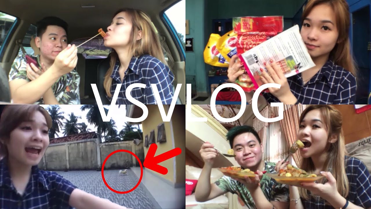 ANJING BERANTEM SAMA KUCING | BELANJA BARANG ANJING | MAKAN LONTONG | Vlog #3