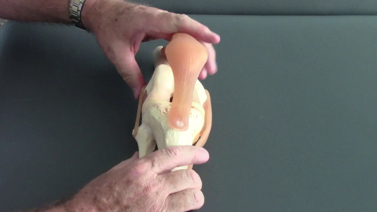 Knee Mobility Dysfunction Seen in Clients With Sacroiliac Joint Dysfunction
