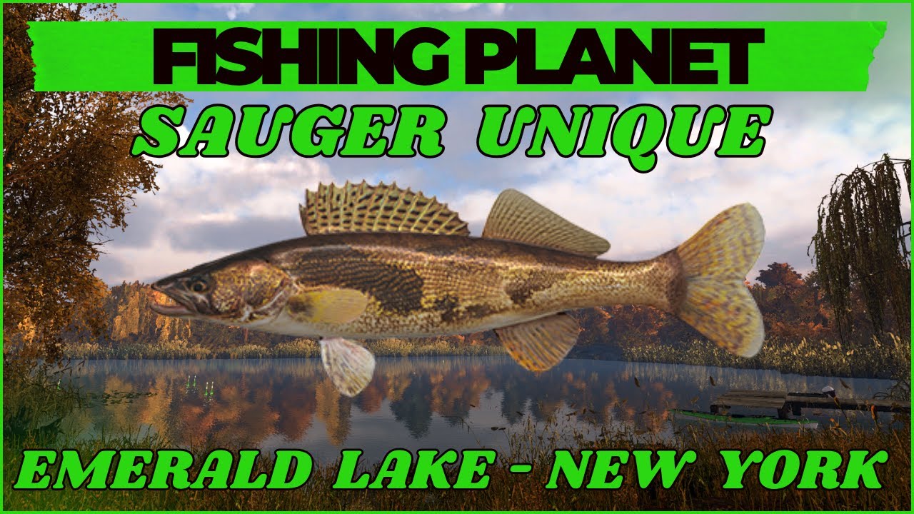 Sauger Unique- Emerald Lake - New York - Fishing Planet