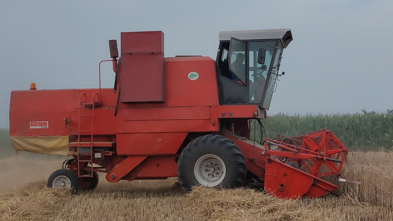 Żniwa 2024. Koszenie pszenżyta. Bizon Super Z056, Valtra A83, Quicke 240P, Autosan D-47.