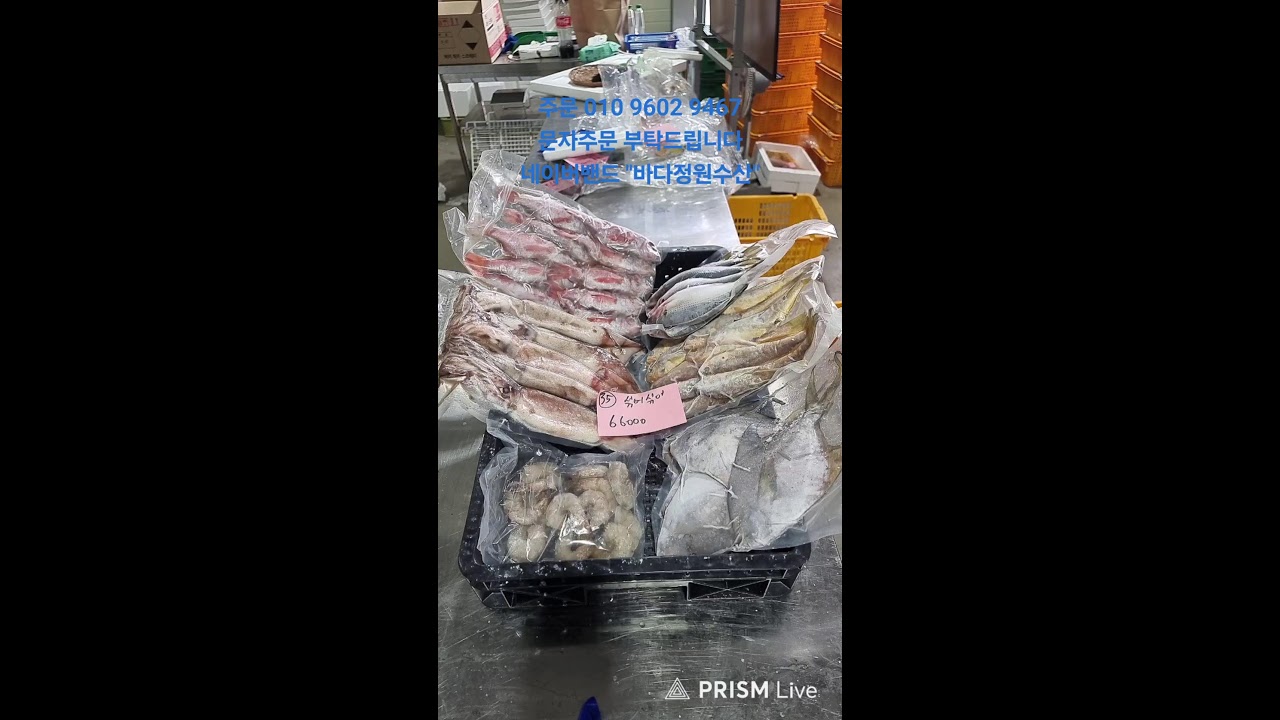 바다정원수산 냉동생선판매 라이브 #0204 #목포