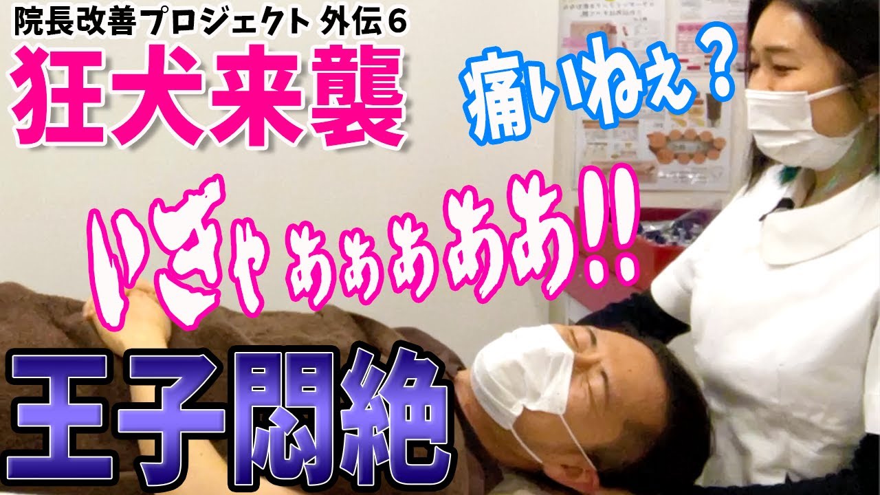 【整体 自由が丘】東京自由が丘から狂犬整体が来襲！王子先生の疲労は？悶絶整体から生きて帰れるのか？【院長改善プロジェクト外伝】