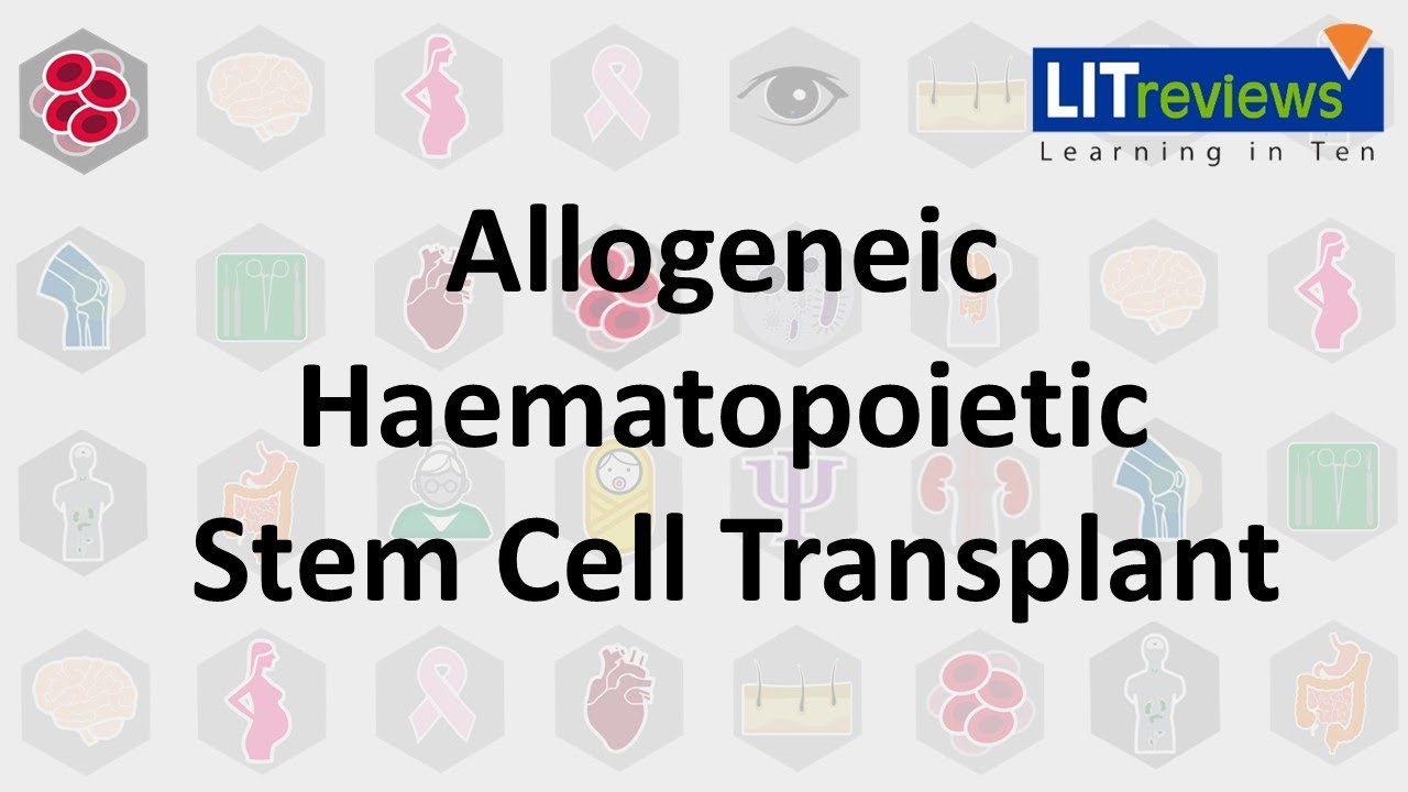 Allogeneic Haematopoietic Stem Cell Transplant