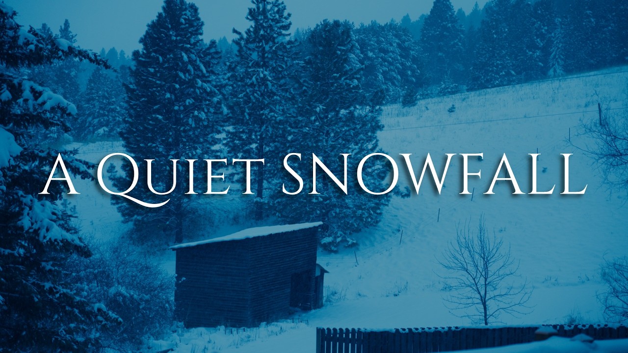 A Quiet Snowfall - The Most Beautiful Music & Winter Stillness (1 Hour)