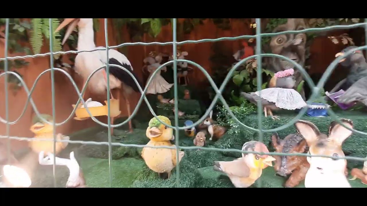 Ptasie Wesele - Ustroń, Leśny Park Niespodzianek