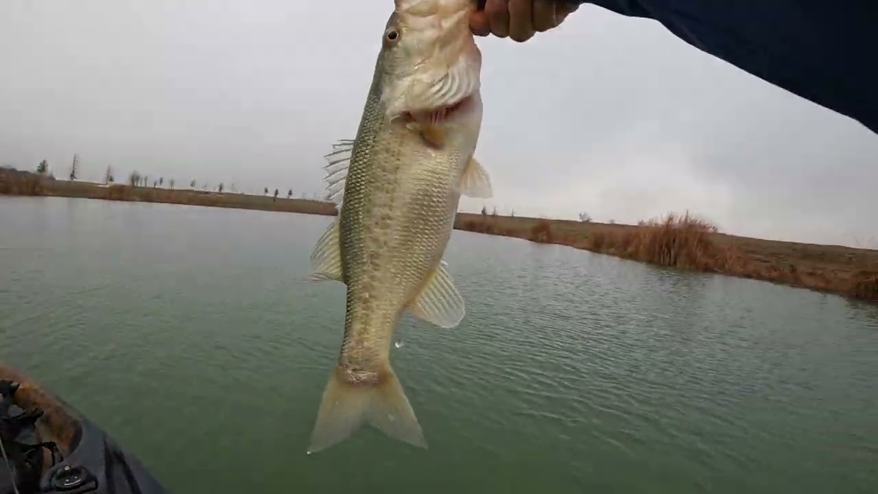 Best Pre-Spring Bass Fishing I’ve Ever Had!