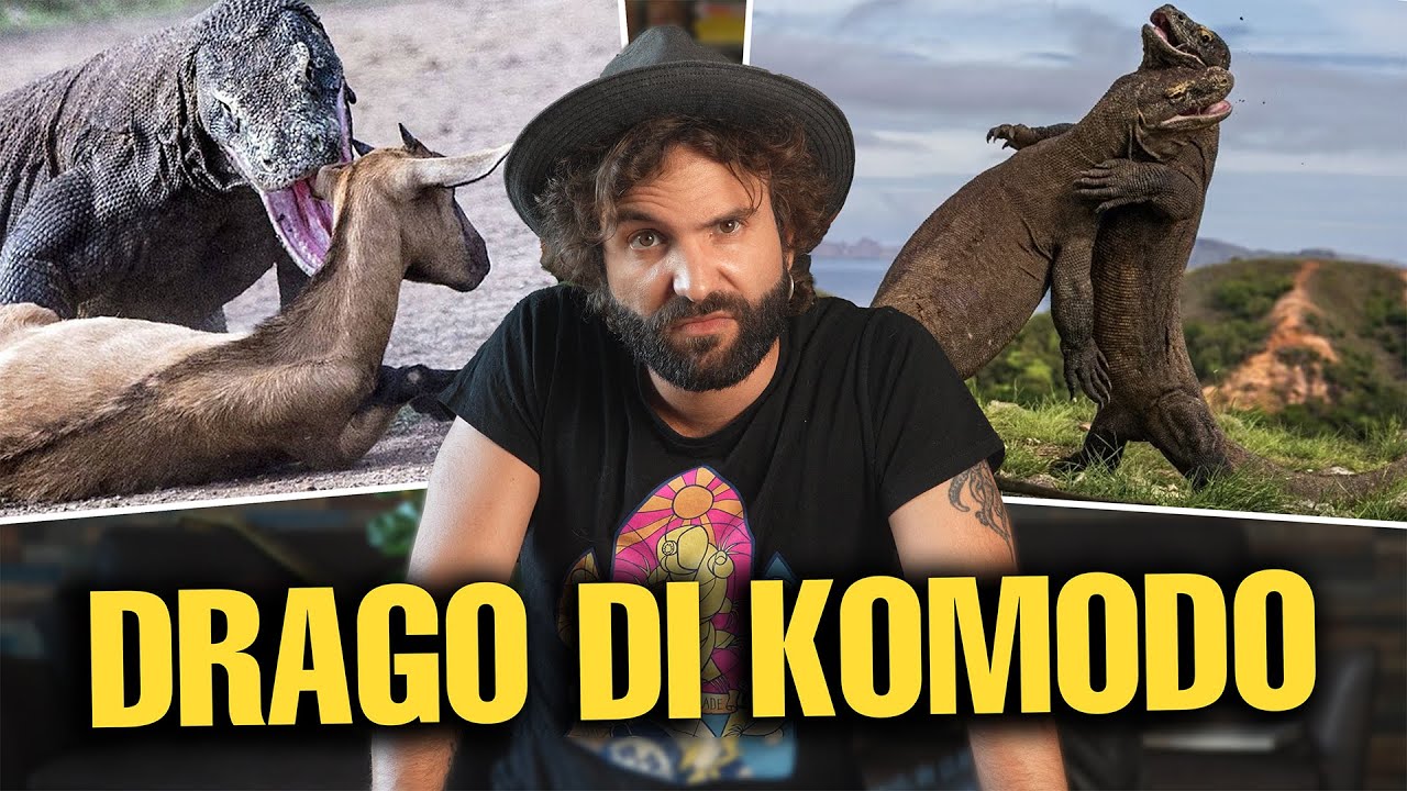 IL DRAGO DI KOMODO