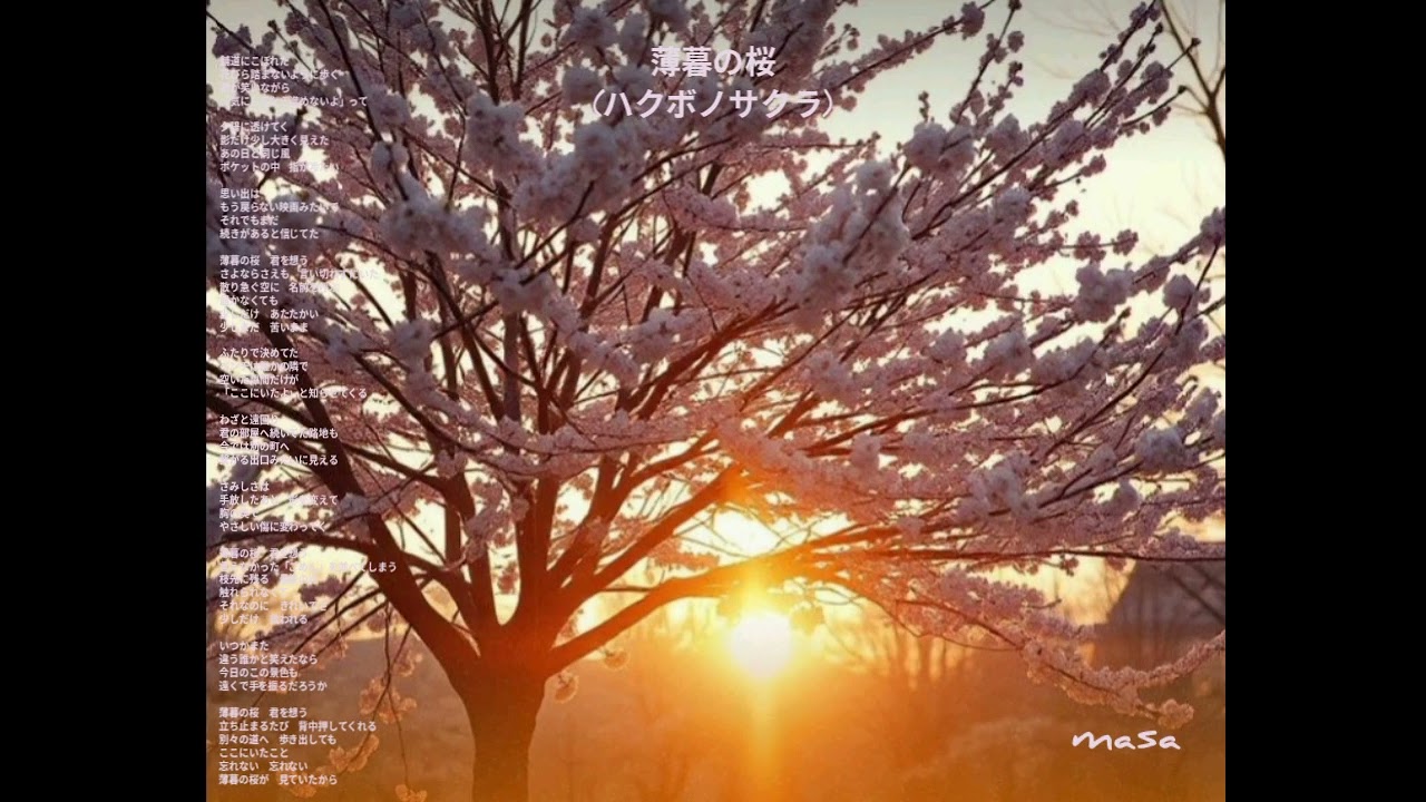 薄暮の桜(ハクボノサクラ)