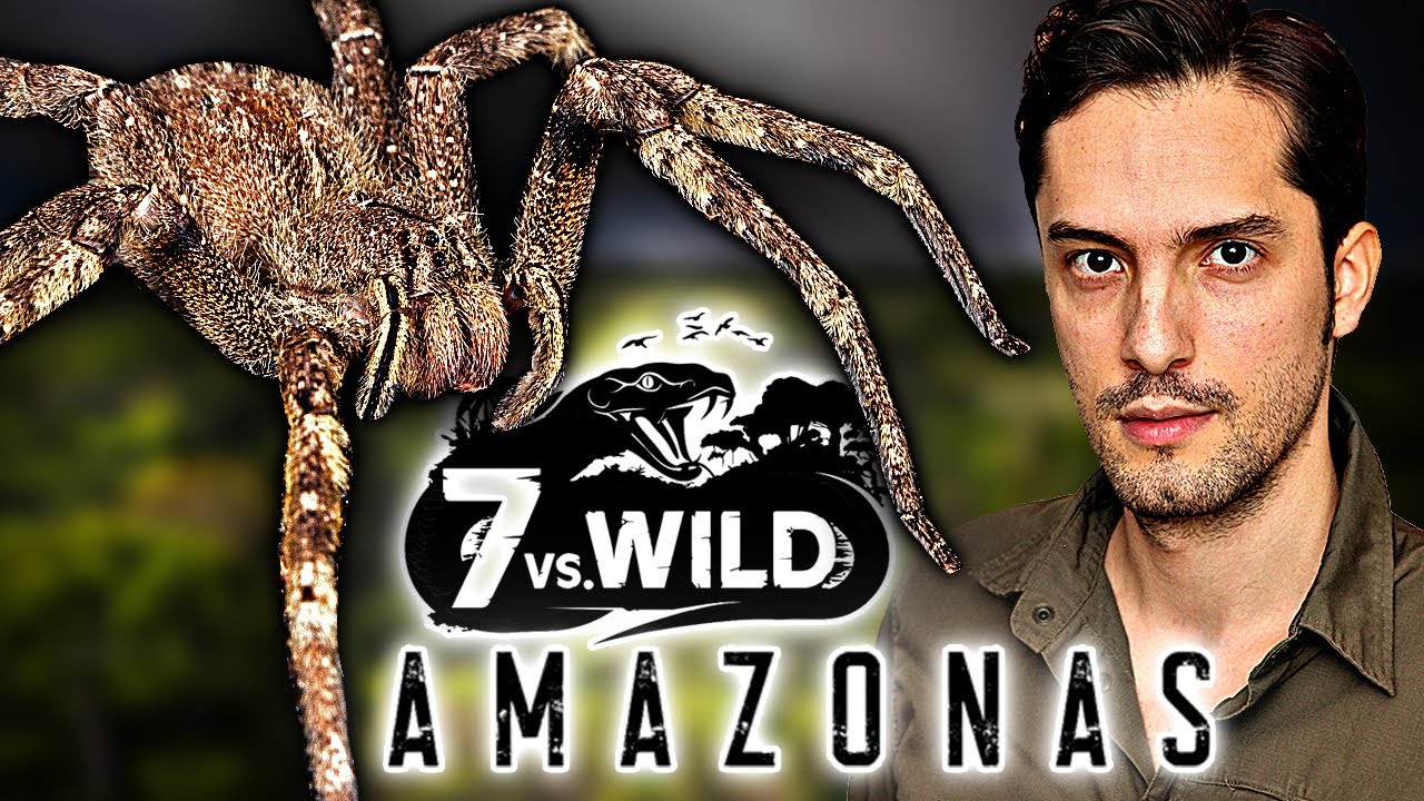 7 VS Wild Amazonas: Gefährliche Tiere und Pflanzen! Biologe klärt auf