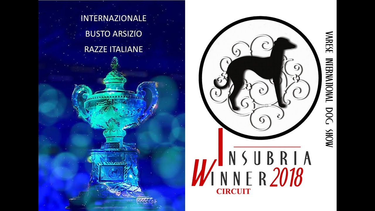 INSUBRIA WINNER 2018 INTERNAZIONALE SEDRIANO RAZZE ITALIANE
