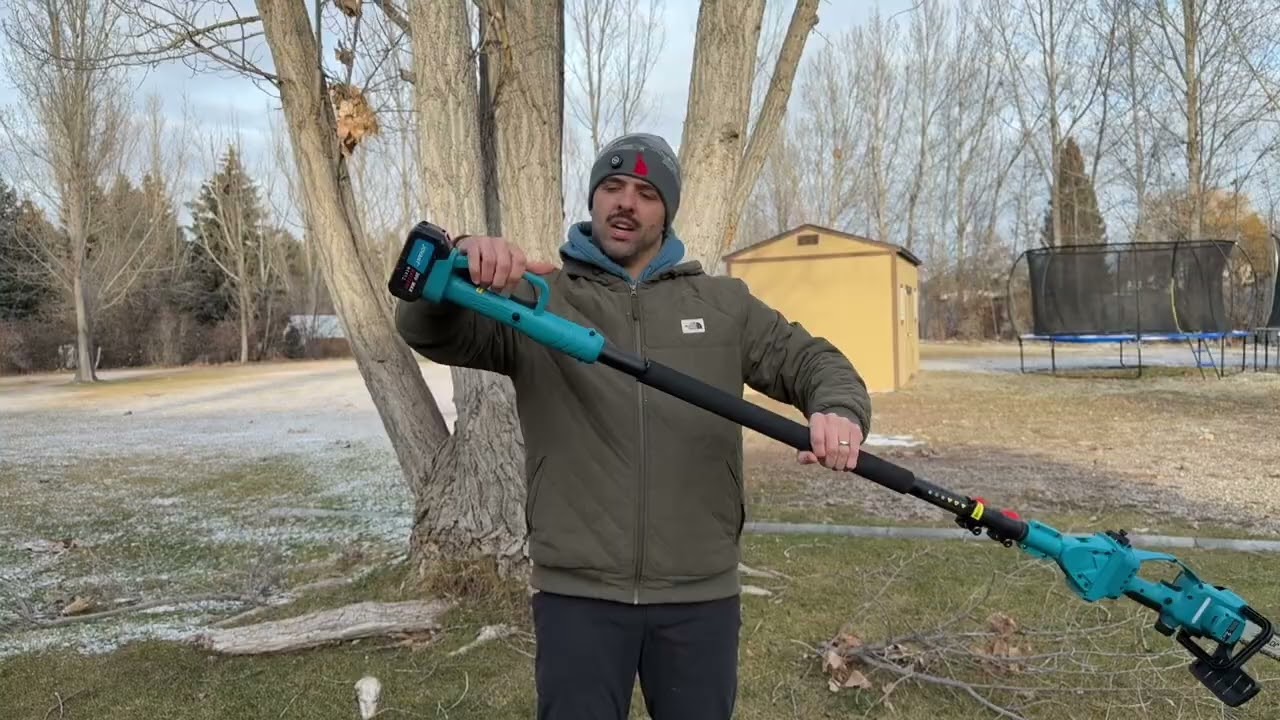 The chainsaw and extender pole work great!