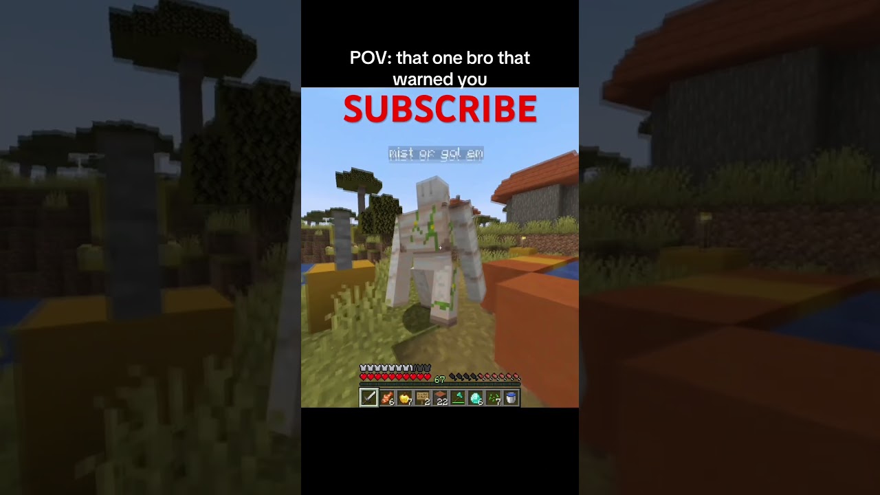 Minecraft Warning Moment
