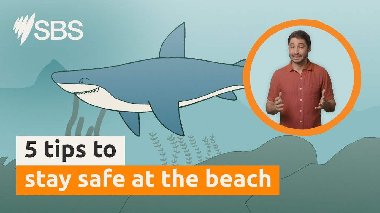 5 tips for staying safe at the beach  | Australia Explained | English | SBS Audio