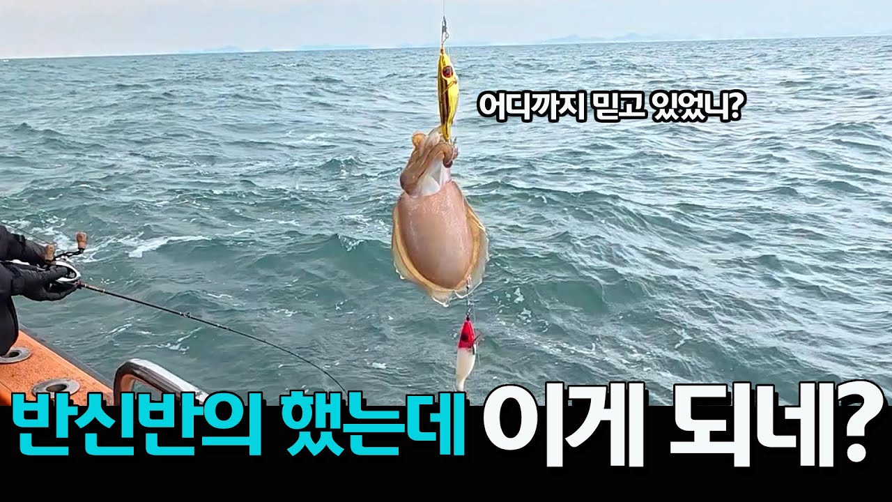 갑오징어 실험실!! 아직도 의심하세요? 영상 보시면 믿게 될겁니다!