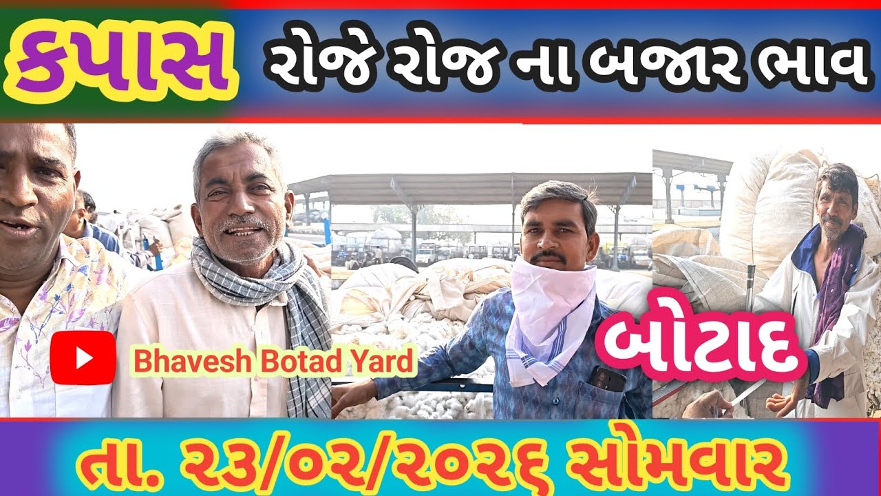 આજે કપાસ માં તમે નય જોયા હોય તેવા ભાવ 23/02/2026 || Botad Marketing Yard ||#bhaveshbotadyard