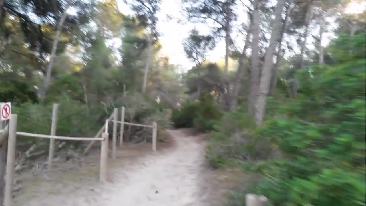 Cala Millor & Sa Coma - Naturschutzgebiet Punta de n'Amer