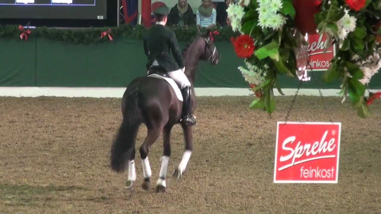Millennium - Hengstschau Gestüt Sprehe in Vechta 04.02.2012