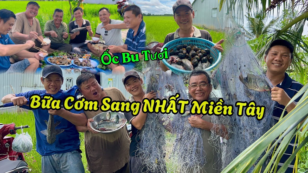 Bữa Ăn SANG Nhất Đồng Quê ai Thấy Cũng Thèm | Bội Thu Hơn 7 kÝ Cá | BiBoVlog 