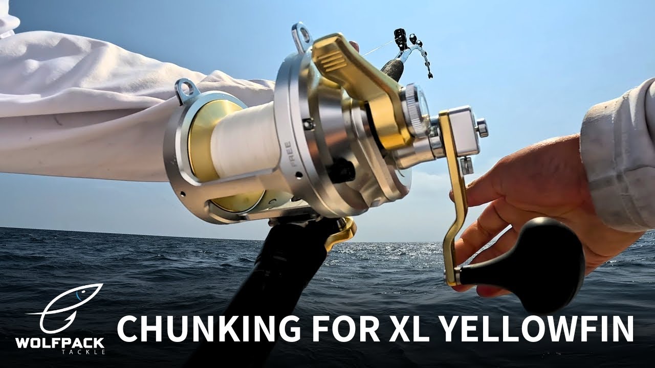 Chunking for XL Yellowfins | August 2024