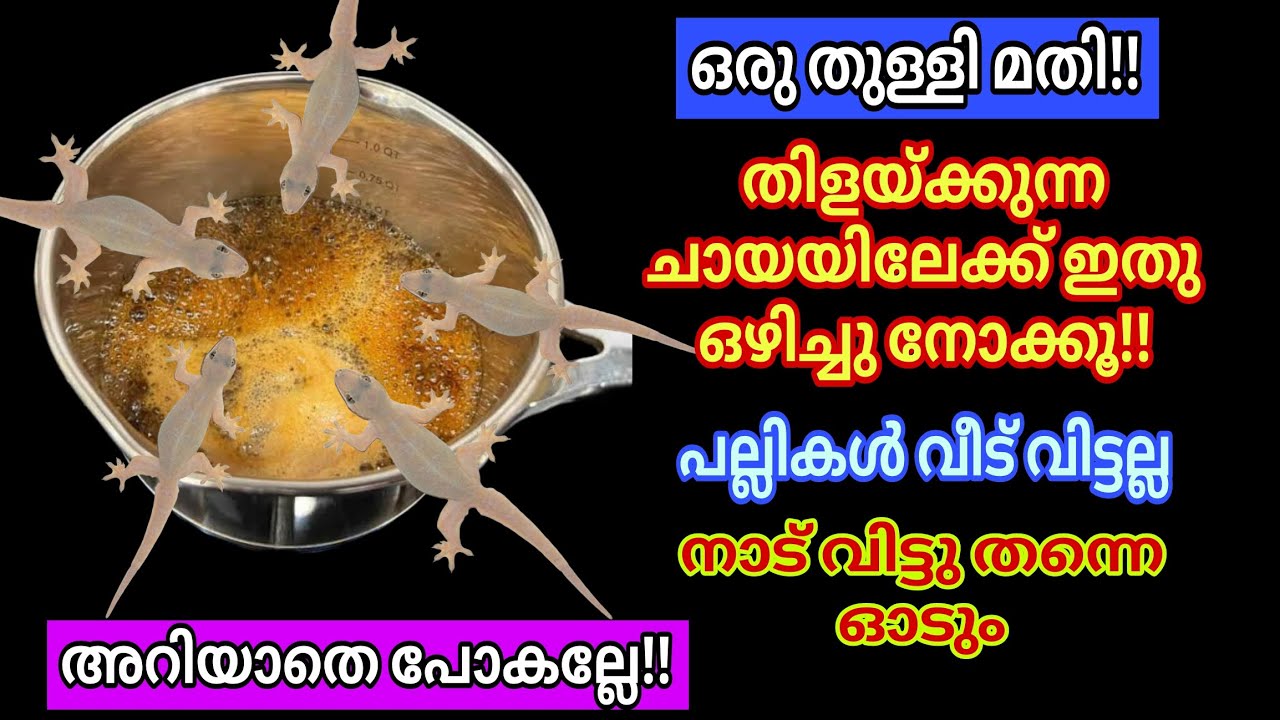 ഒരു തുള്ളി ചായയിൽ ഒഴിക്കൂ പല്ലികൾ വിറച്ചോടും/ഇതു കണ്ടില്ലെങ്കിൽ നഷ്ട്ടം#kitchentips#trending