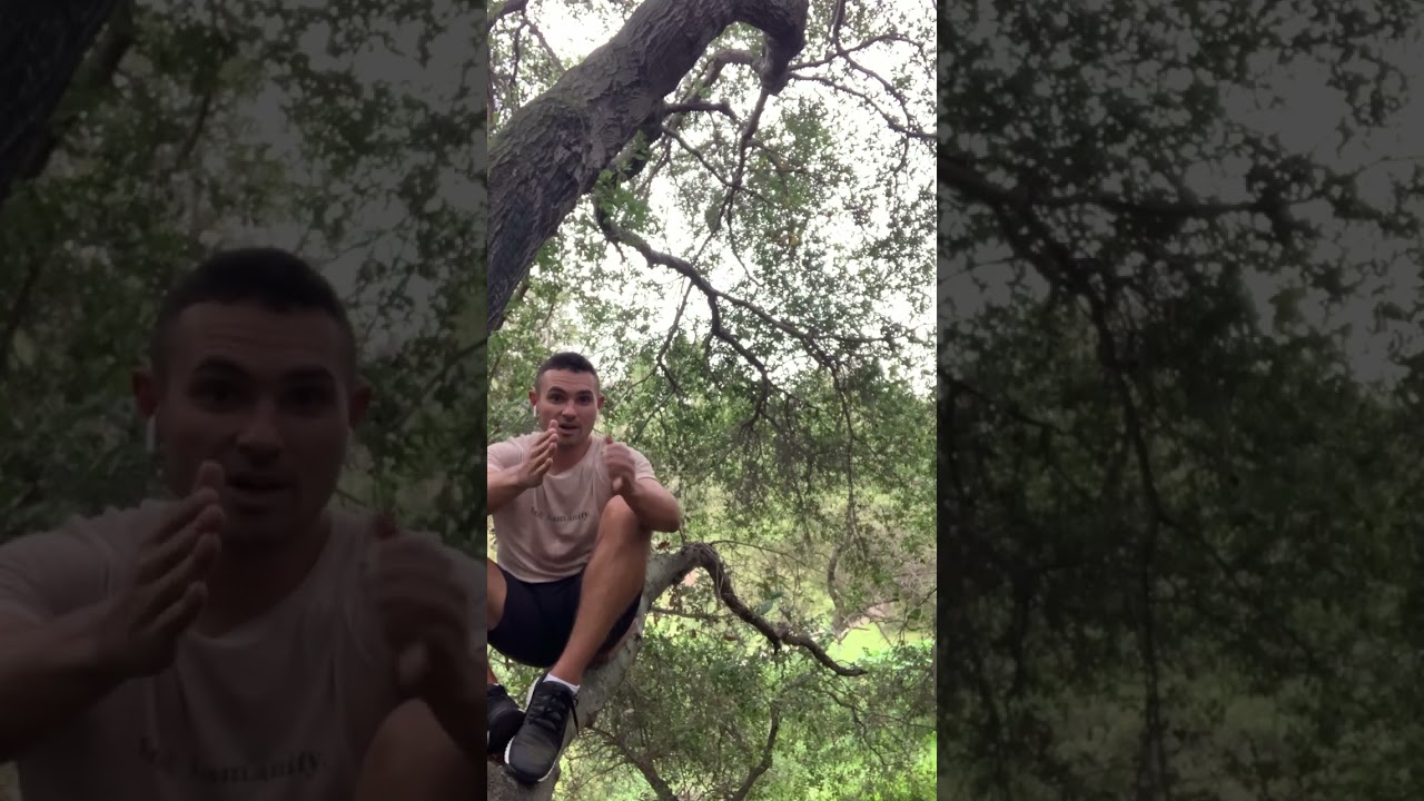 Do Stupid Shit That Excites You. [TreeTalks]