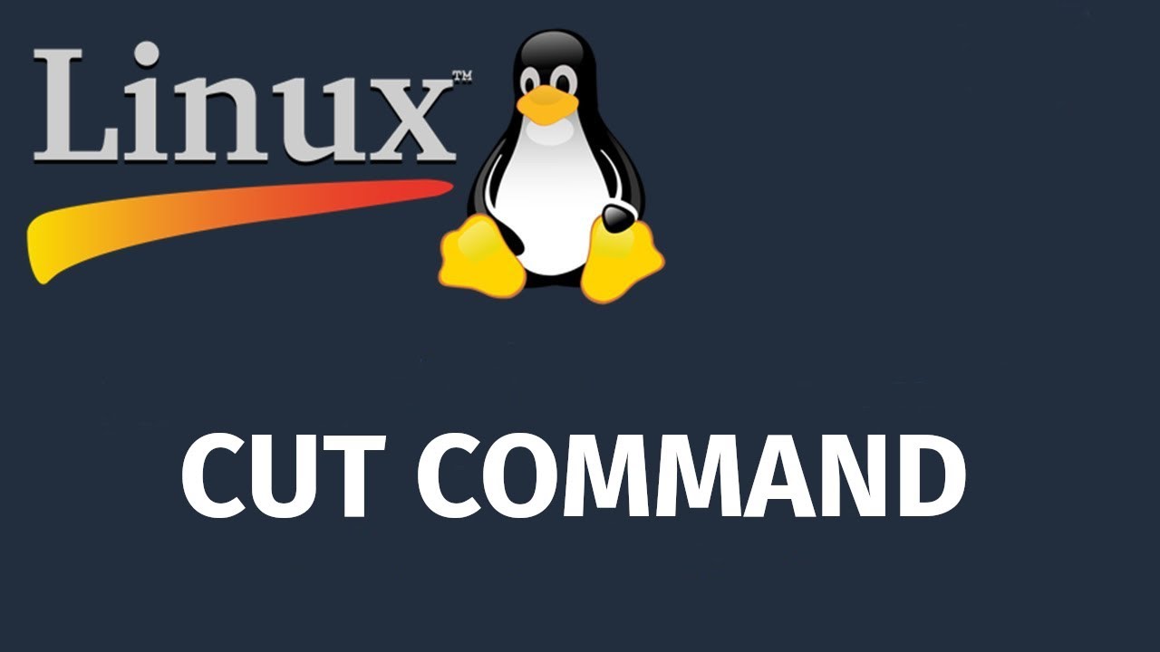 Linux Cut Command (cat komutunun) Kullanımı ve Özellikleri