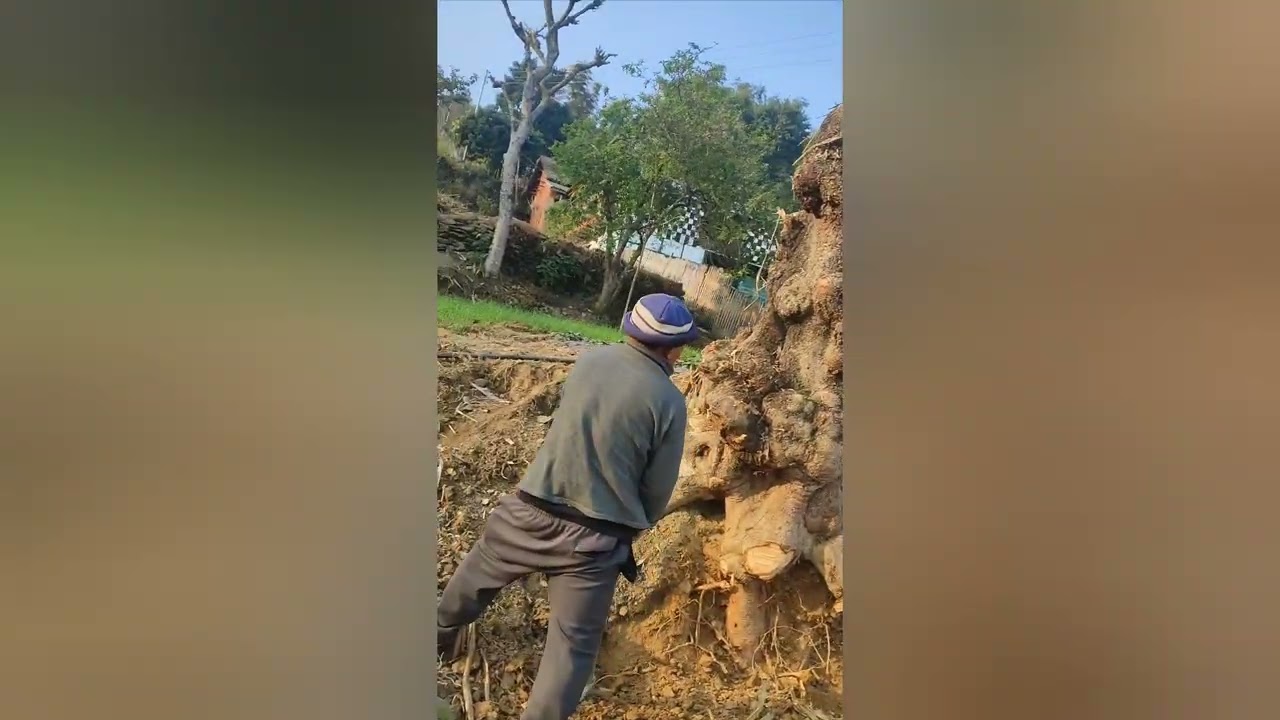 गाउँ तिरको काम धमाधम चल्दै छ है साथीहरू हो।