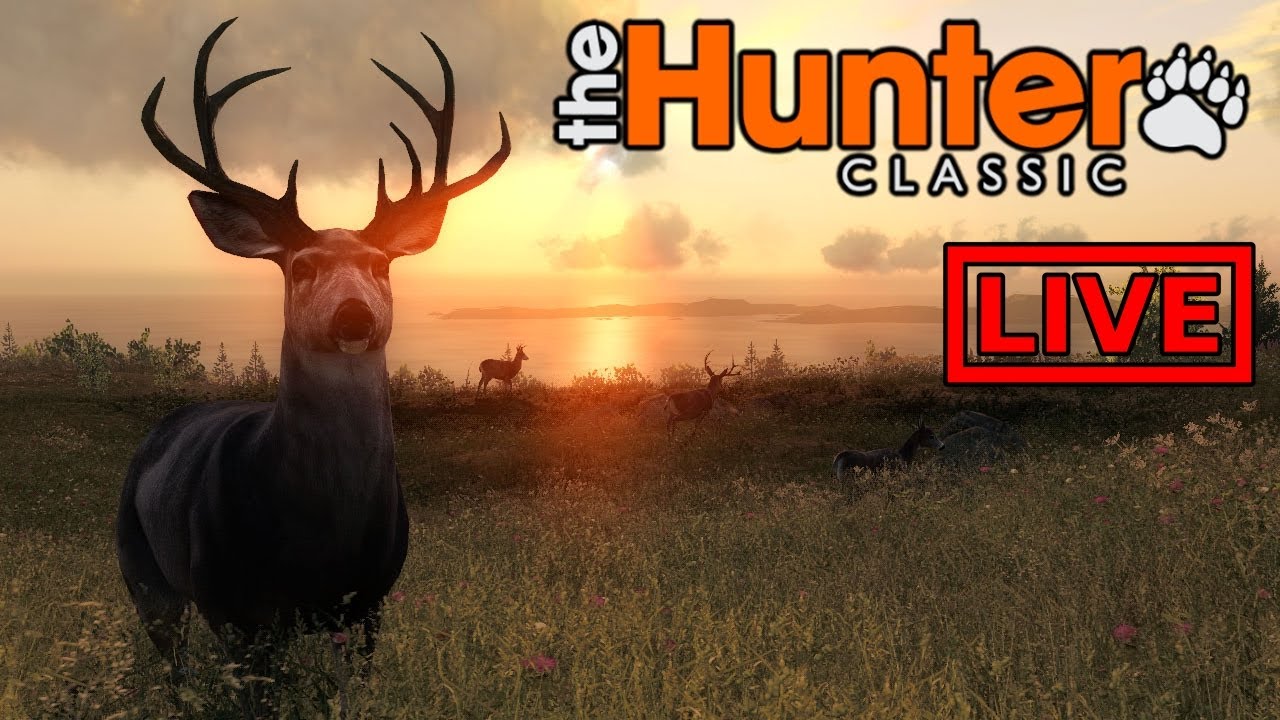 LIVE Multiplayer Hopping - theHunter Classic