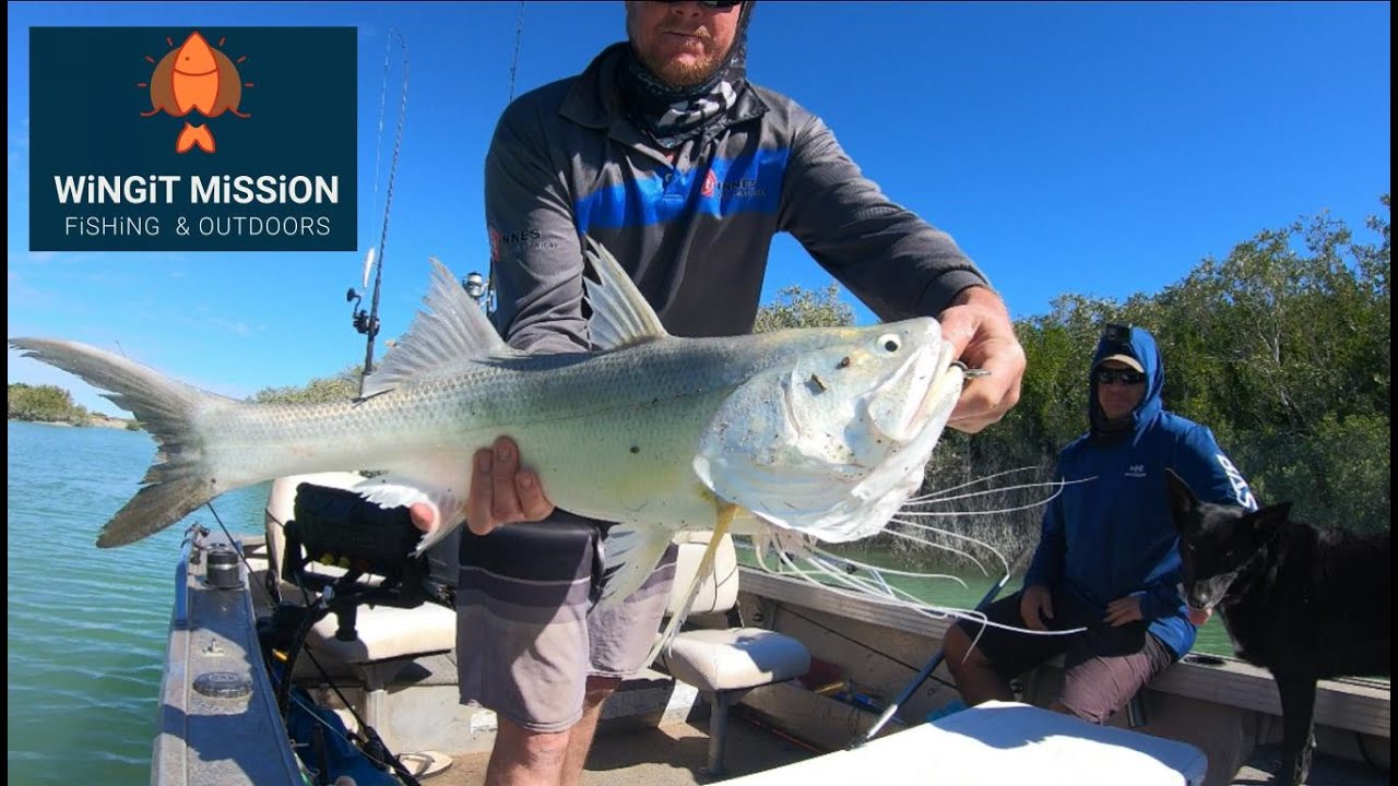 THREADFIN SALMON - PILBARA CREEKS