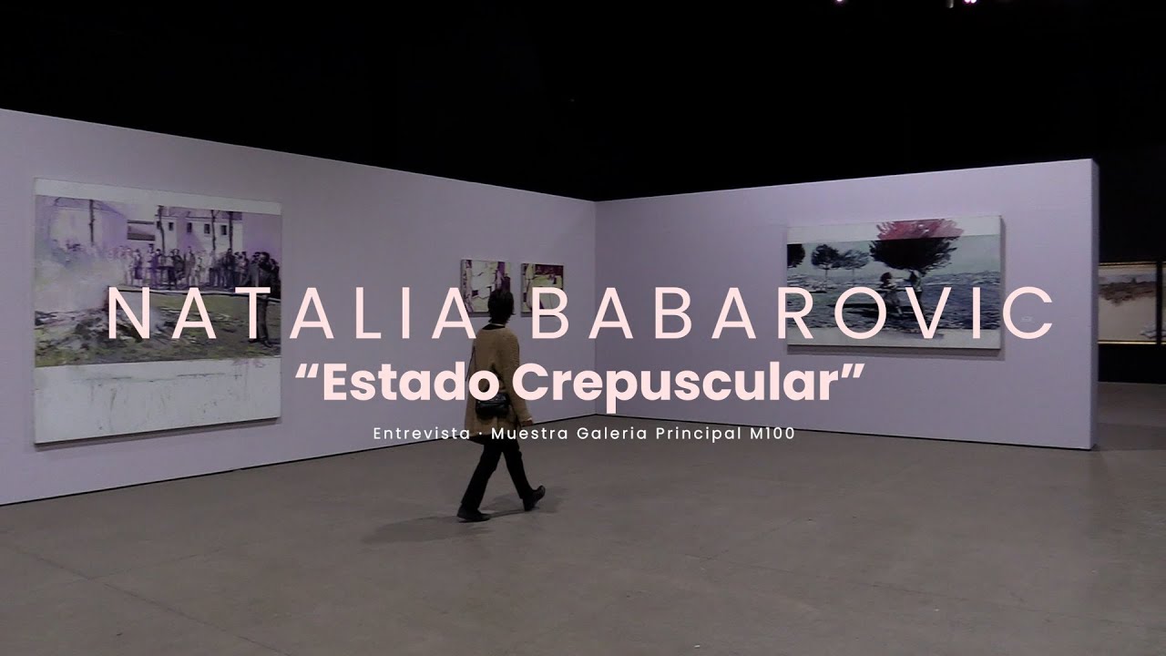 Entrevista Artes Visuales - Natalia Babarovic 