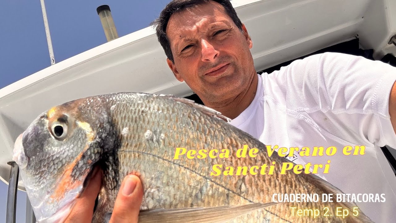 Pesca de Verano en Sancti Petri. Primera salida. #pescacadiz  #doradas  #pescaembarcacioncadiz T2E5