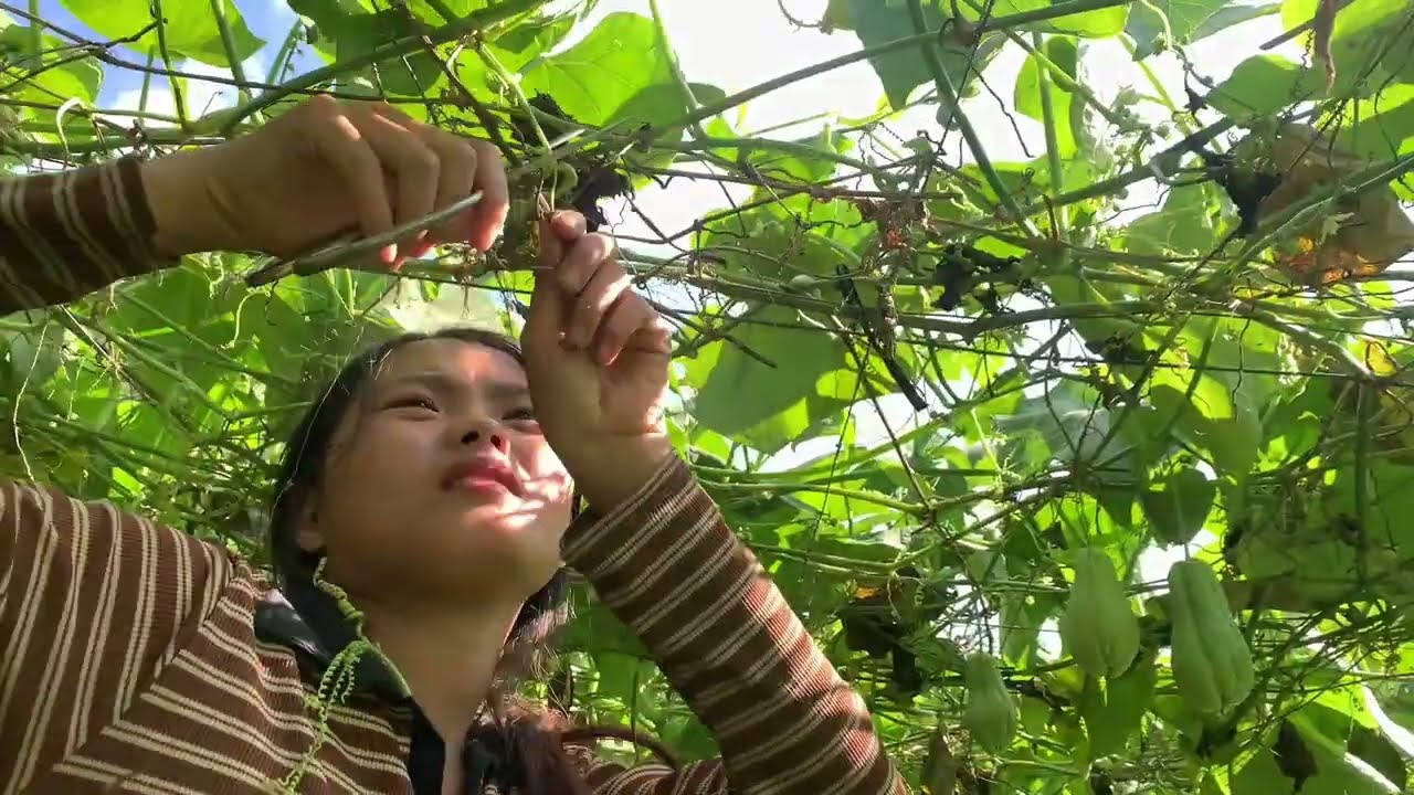 The orphan girl Tieu Xanh, alone works for a living