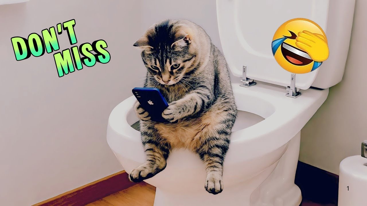Must Watch Before Deleted 😱🔥 | Viral Funny Pets of the Year