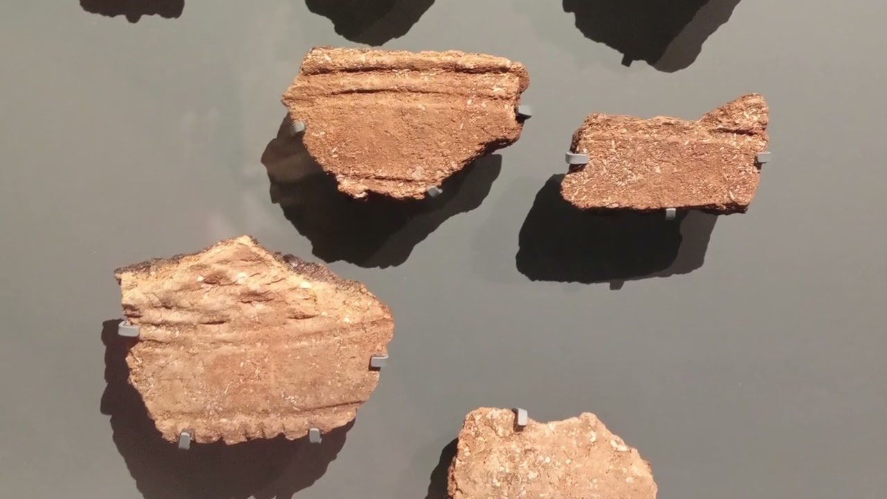 The Shape of Your Hands