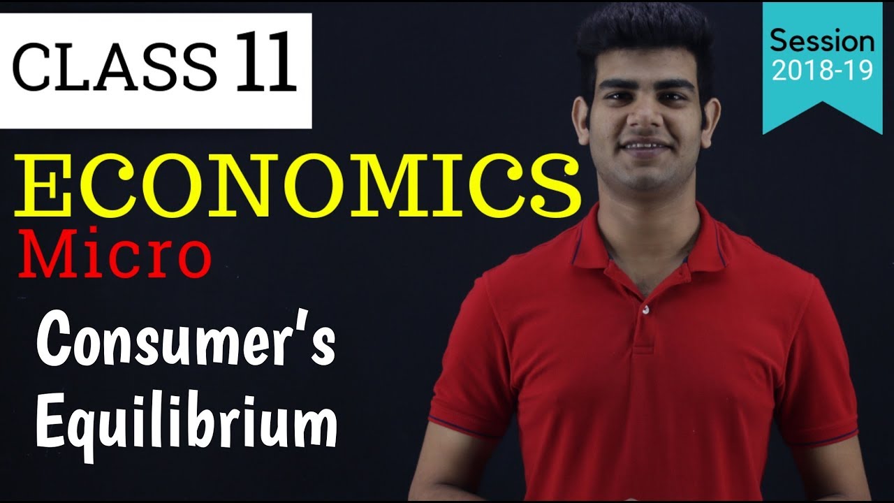 consumer equilibrium class 11